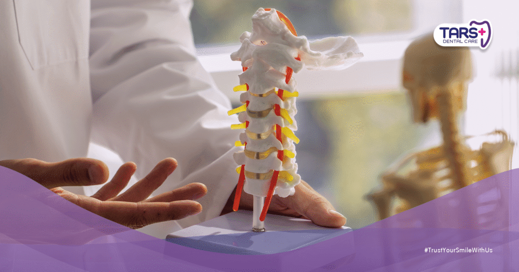 5 Fakta Penting Osteoporosis dan Dampaknya pada Gigi