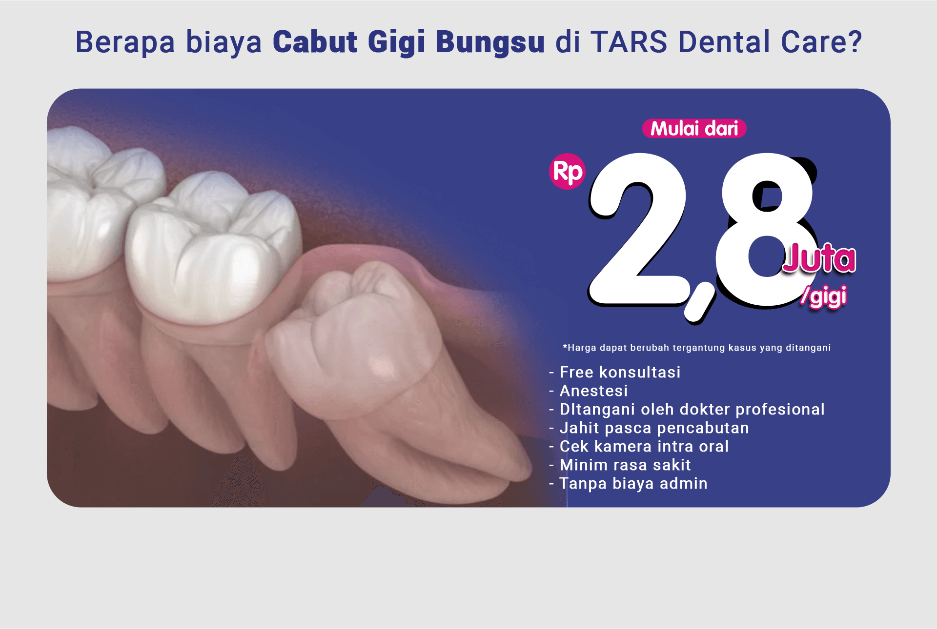 Gigi Bungsu - LP 2024